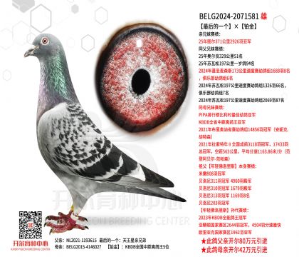 1����24-2071581