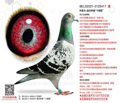 1����21-2125417