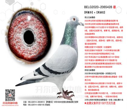 1����20-2065428