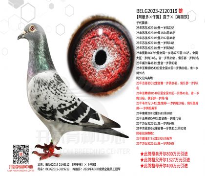 1����23-2120319