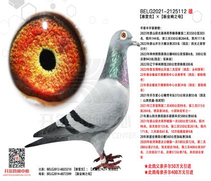 1����2125112