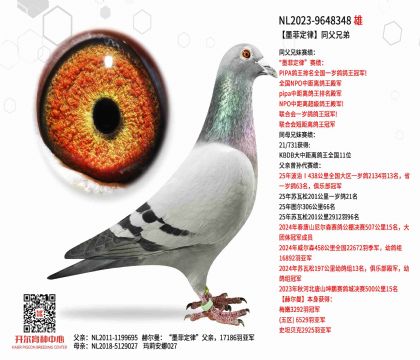 1����23-9648348