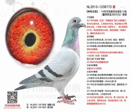 1����-1239773