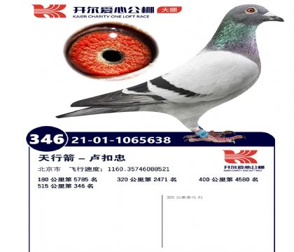 1����21-01-1065638