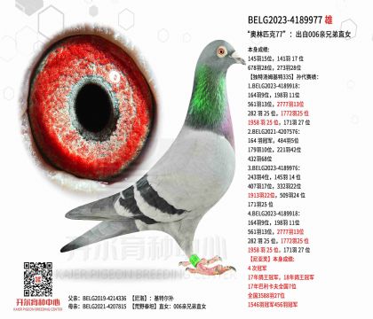 1����23-4189977ͼ