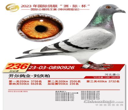 2ĸ��23-03-0890926