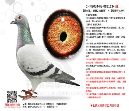 2ĸ��24-03-0811134