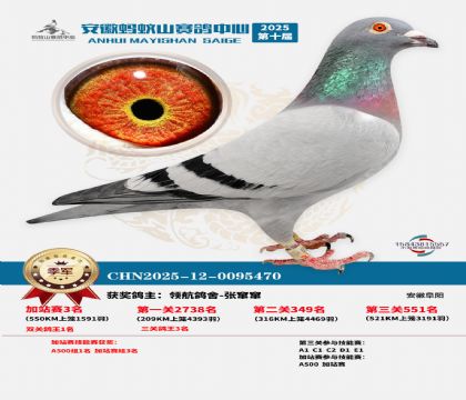 ����ɽ550�����վ��3��