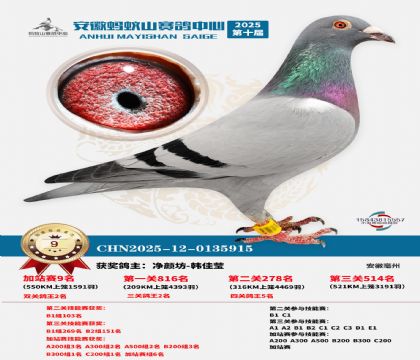 ����ɽ550�����վ��9��