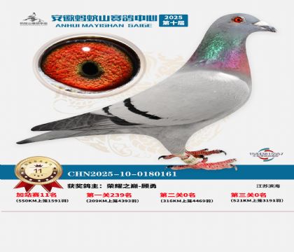 ����ɽ550�����վ��11��