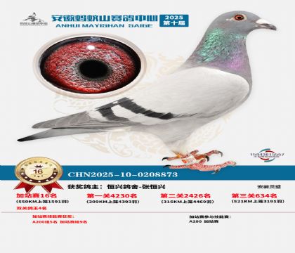 ����ɽ550�����վ��16��