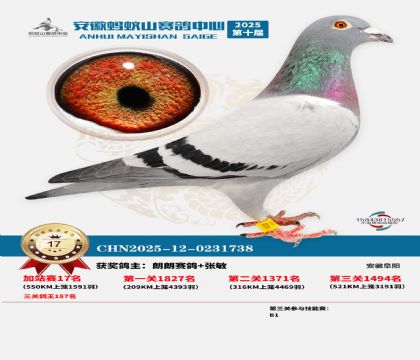 ����ɽ550�����վ��17��