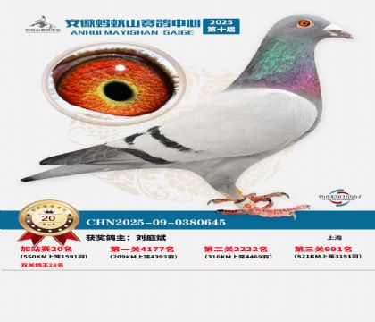 ����ɽ550�����վ��20��