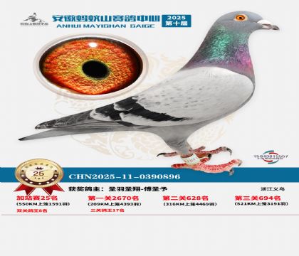 ����ɽ550�����վ��25��