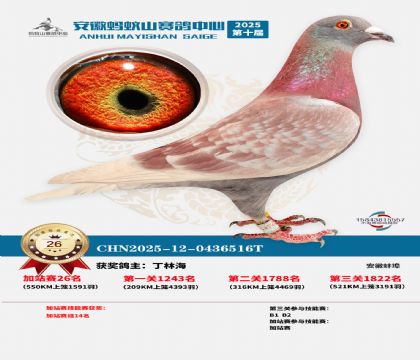 ����ɽ550�����վ��26��