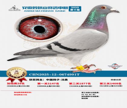 ����ɽ550�����վ��28��