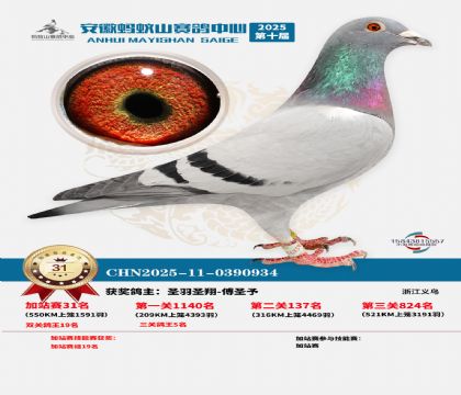 ����ɽ550�����վ��31��