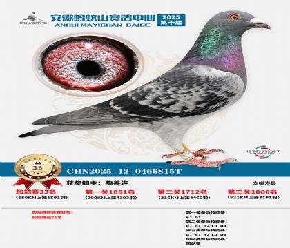 ����ɽ550�����վ��33��