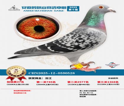 ����ɽ550�����վ��37��