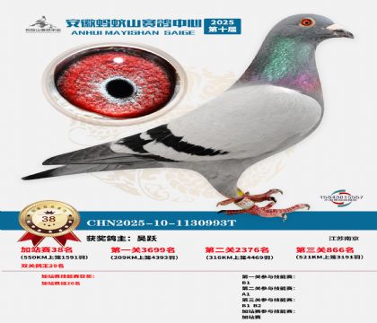 ����ɽ550�����վ��38��