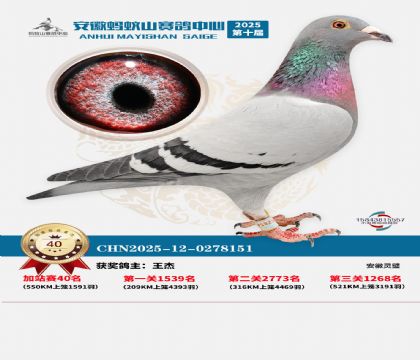 ����ɽ550�����վ��40��