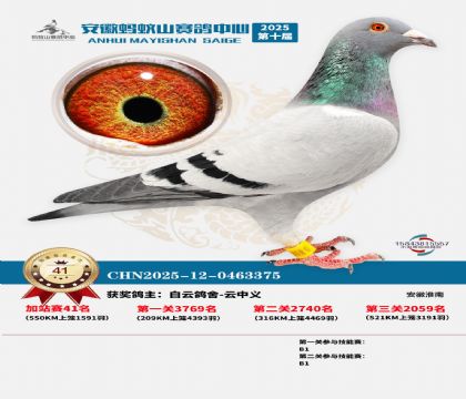 ����ɽ550�����վ��41��