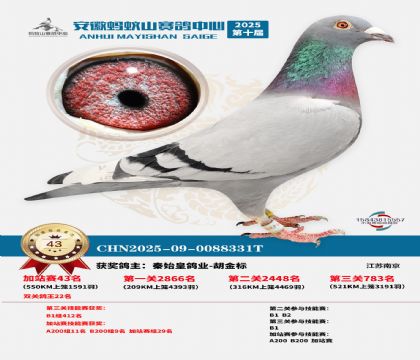 ����ɽ550�����վ��43��