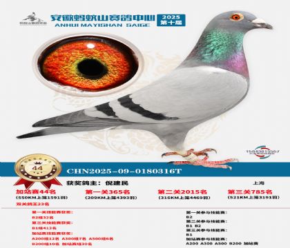 ����ɽ550�����վ��44��