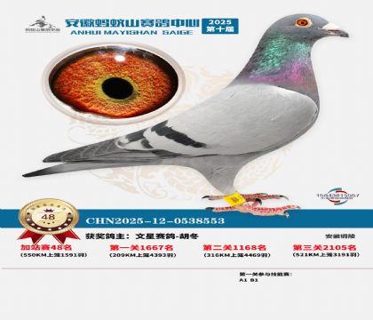 ����ɽ550�����վ��48��