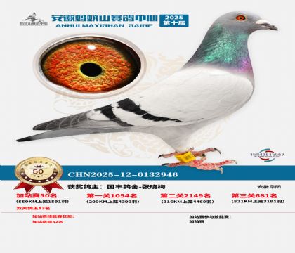 ����ɽ550�����վ��50��