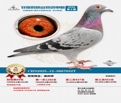 ����ɽ550�����վ��60��