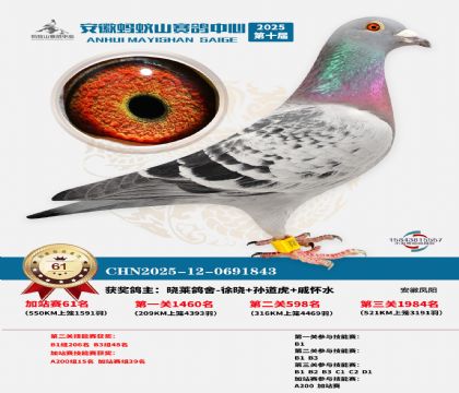 ����ɽ550�����վ��61��