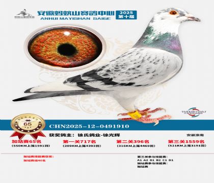 ����ɽ550�����վ��65��