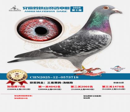 ����ɽ550�����վ��70��