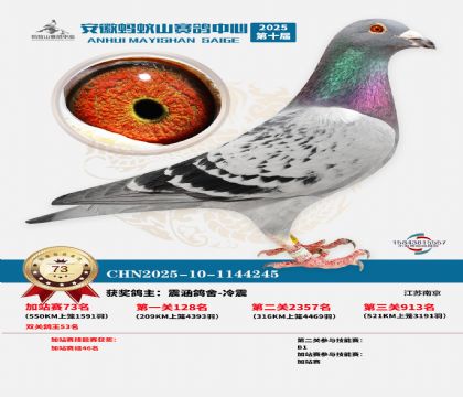 ����ɽ550�����վ��73��