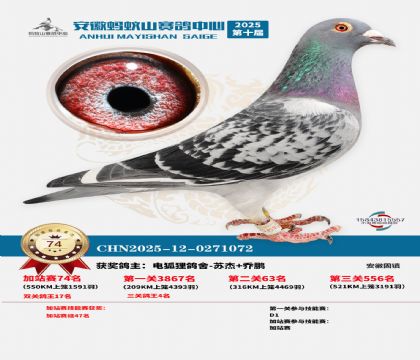 ����ɽ550�����վ��74��