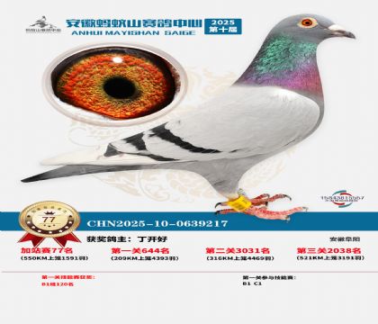 ����ɽ550�����վ��77��