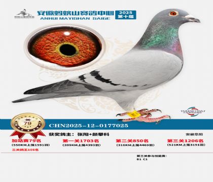 ����ɽ550�����վ��79��