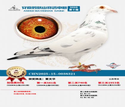 ����ɽ550�����վ��80��