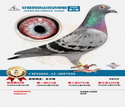 ����ɽ550�����վ��81��