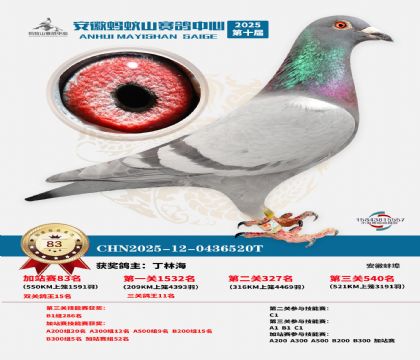 ����ɽ550�����վ��83��