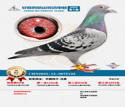 ����ɽ550�����վ��82��