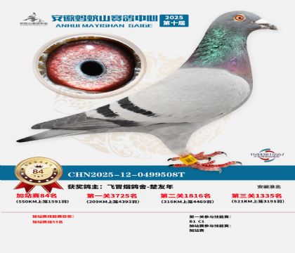 ����ɽ550�����վ��84��