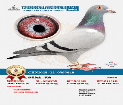 ����ɽ550�����վ��85��