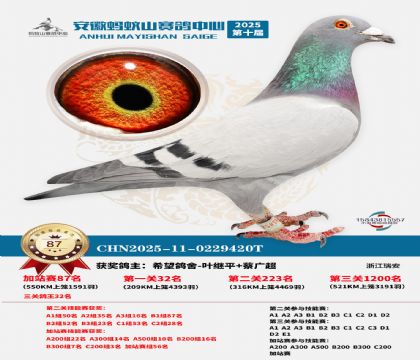 ����ɽ550�����վ��87��