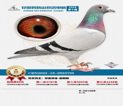 ����ɽ550�����վ��89��