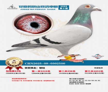 ����ɽ550�����վ��93��