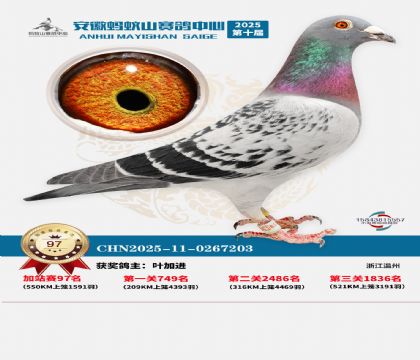 ����ɽ550�����վ��97��