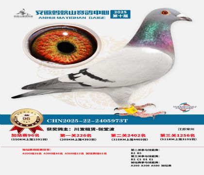 ����ɽ550�����վ��96��