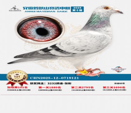 ����ɽ550�����վ��101��